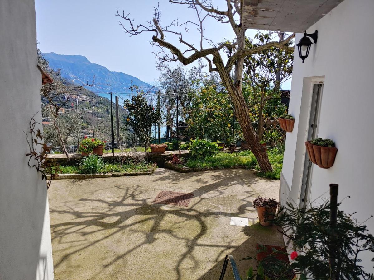 Amalfi Coast, Positano, Sorrento, Capri, Garden, Villa Carcara Colli di Fontanelle Exterior photo