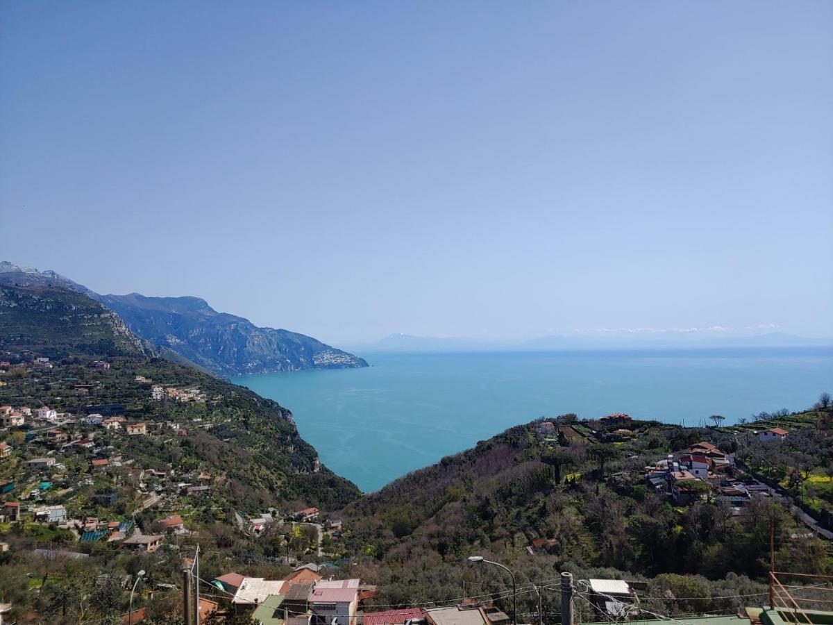 Amalfi Coast, Positano, Sorrento, Capri, Garden, Villa Carcara Colli di Fontanelle Exterior photo