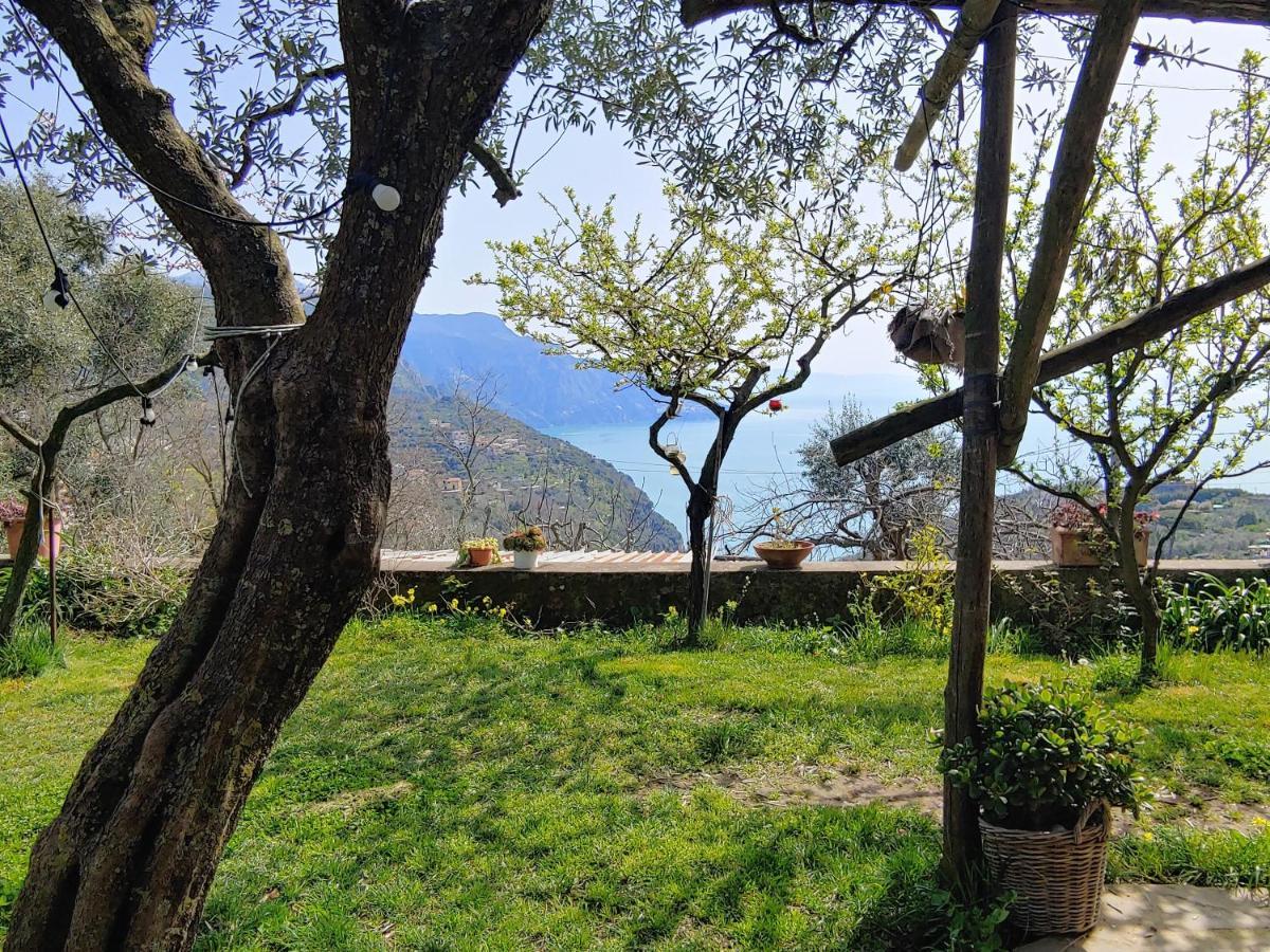 Amalfi Coast, Positano, Sorrento, Capri, Garden, Villa Carcara Colli di Fontanelle Exterior photo