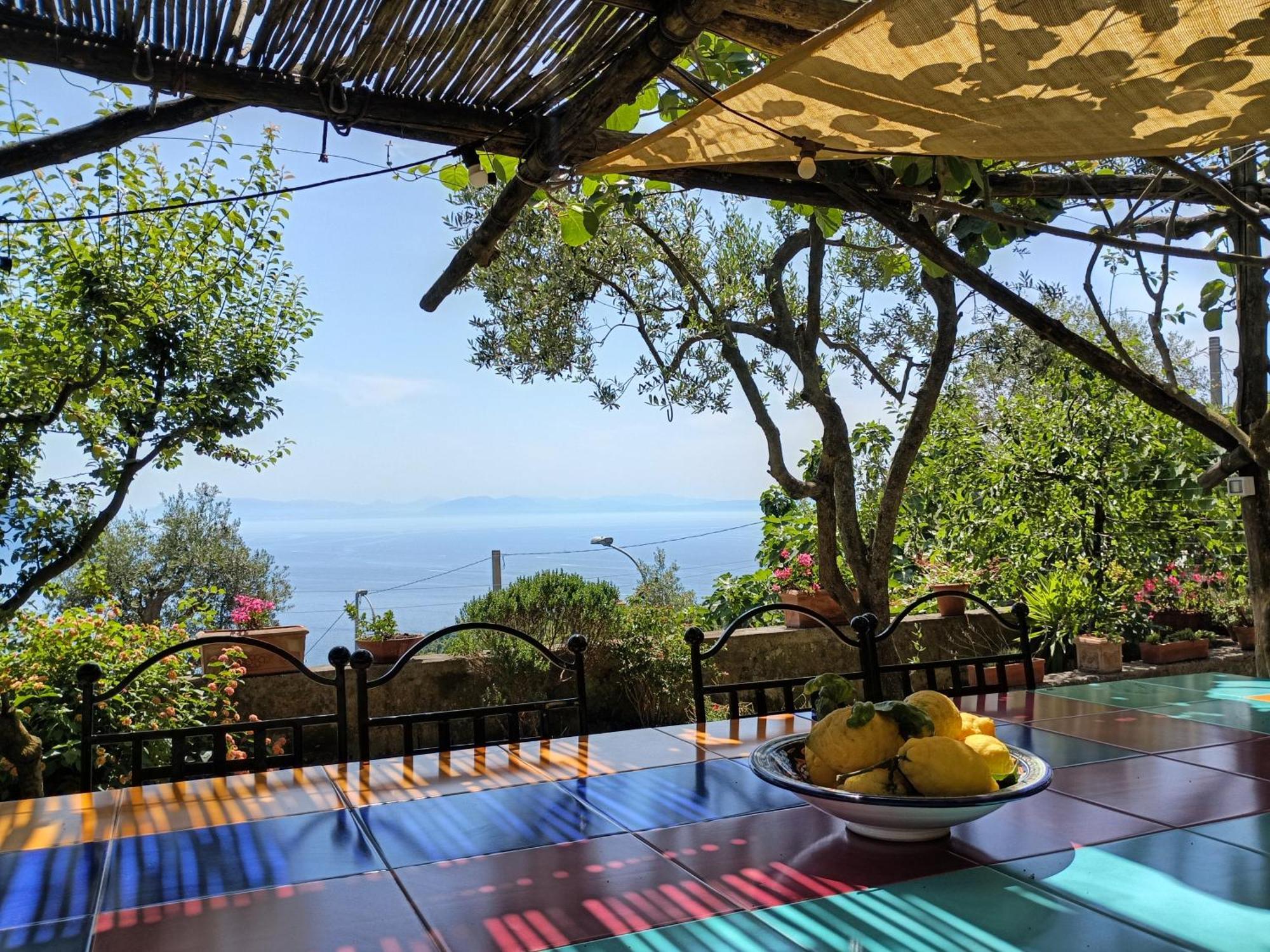 Amalfi Coast, Positano, Sorrento, Capri, Garden, Villa Carcara Colli di Fontanelle Exterior photo