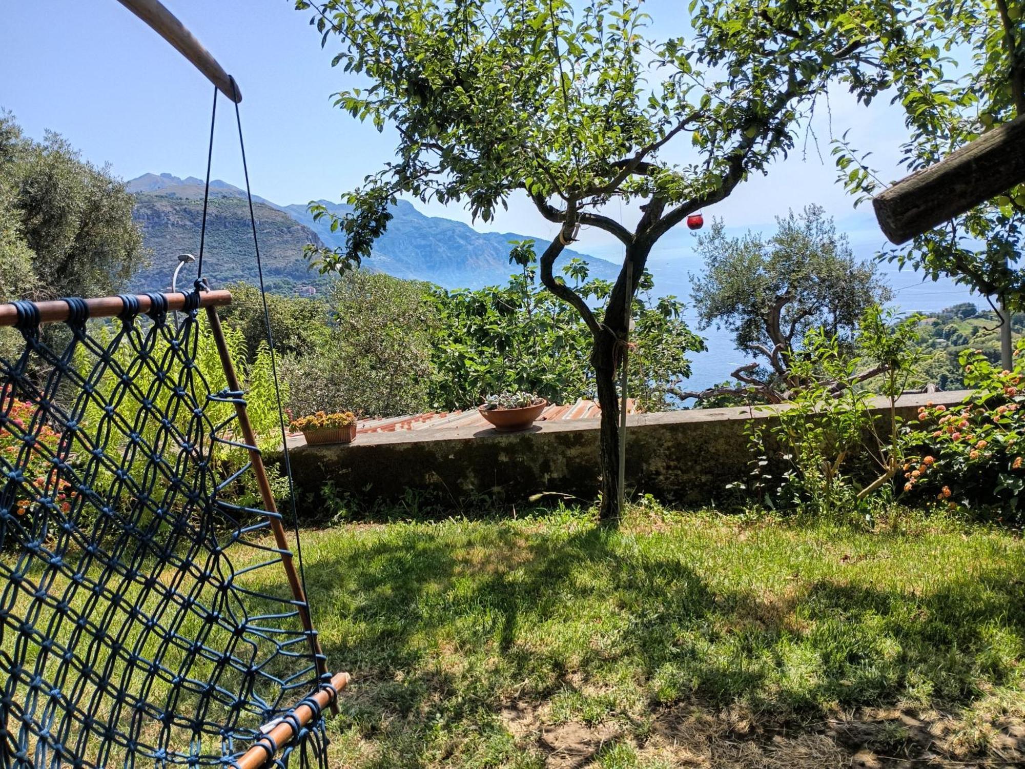Amalfi Coast, Positano, Sorrento, Capri, Garden, Villa Carcara Colli di Fontanelle Exterior photo