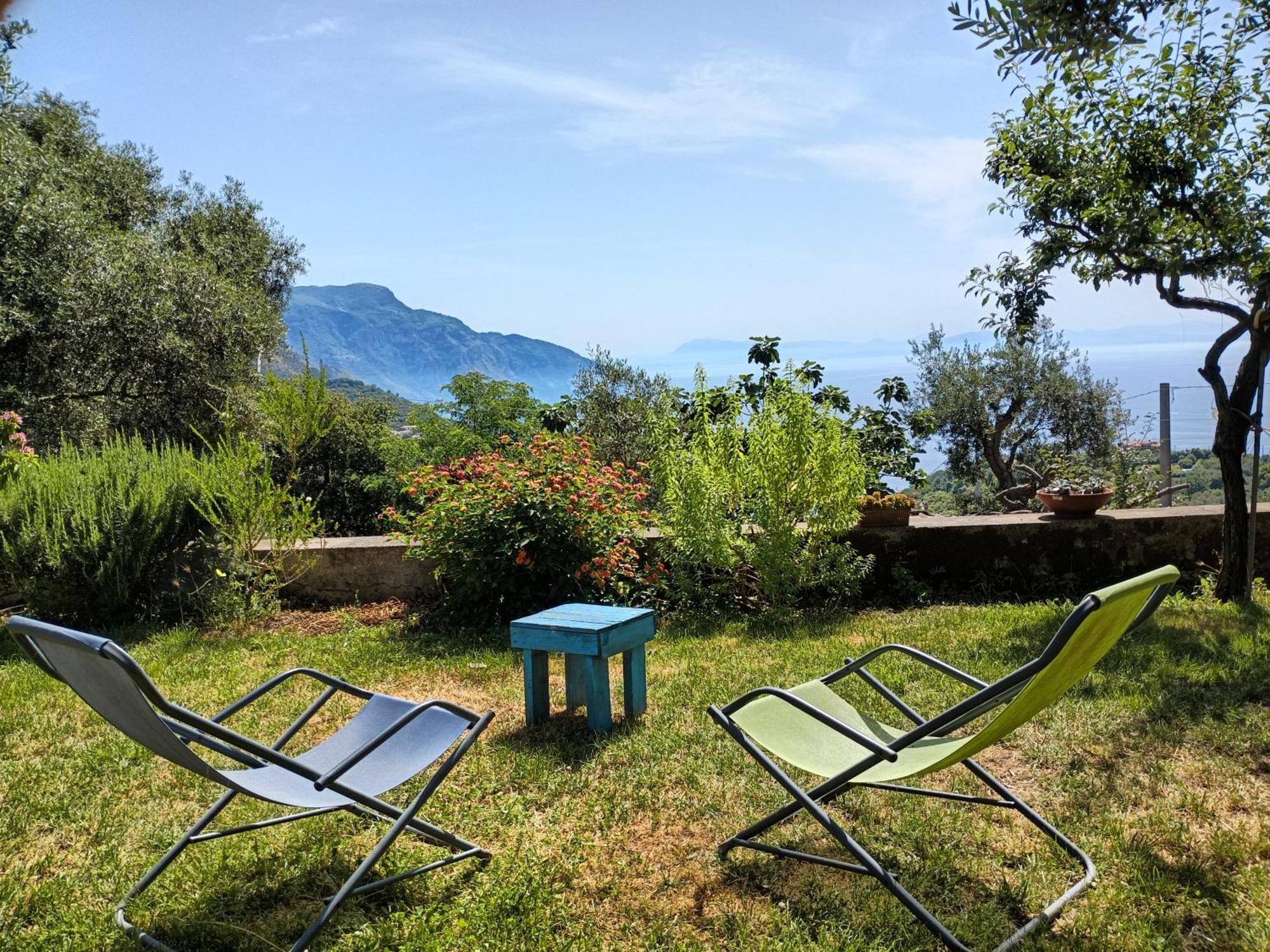 Amalfi Coast, Positano, Sorrento, Capri, Garden, Villa Carcara Colli di Fontanelle Exterior photo